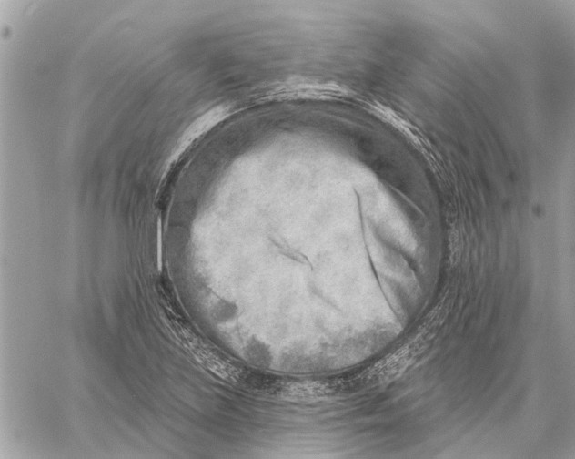 X0000059061219200510281624