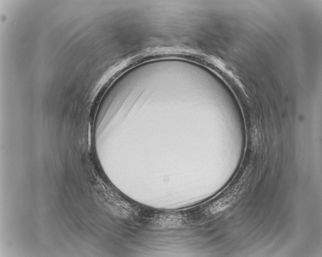 X0000059061221200510281624