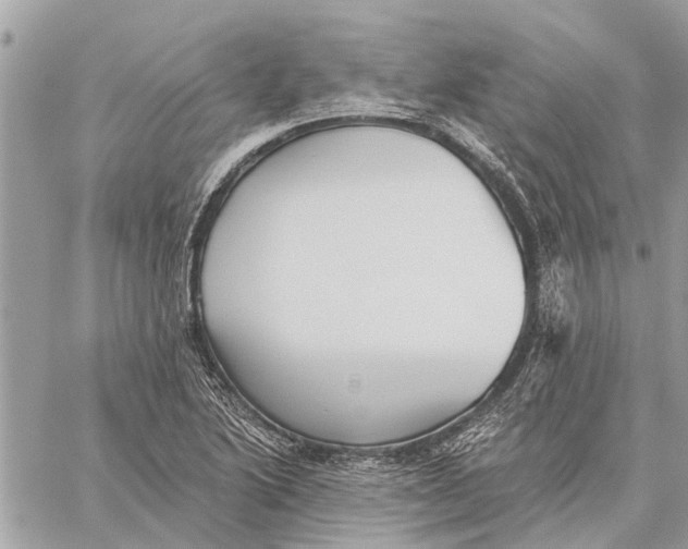 X0000059061222200510281624