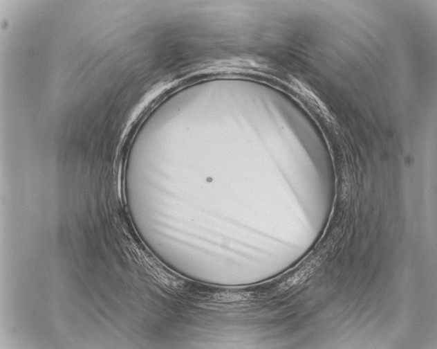 X0000059061224200510281624