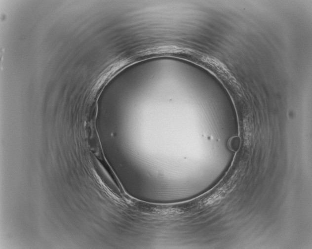 X0000059061225200510281624