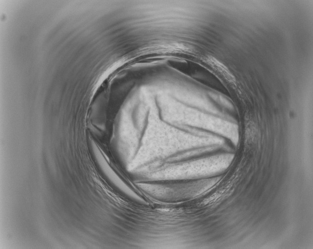 X0000059061226200510281624