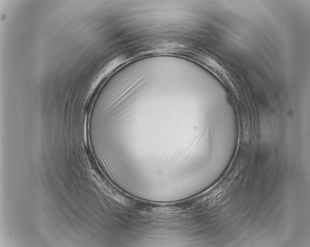 X0000059061227200510281624