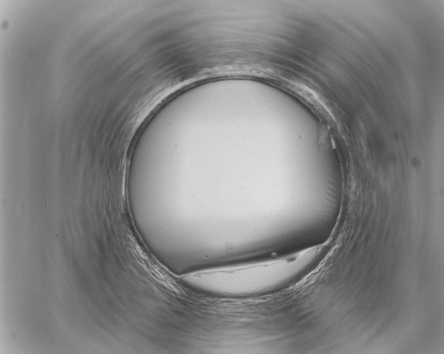 X0000059061228200510281624