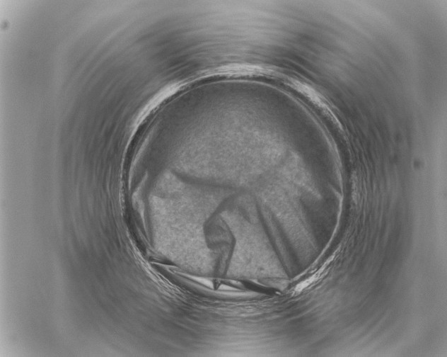 X0000059061229200510281624