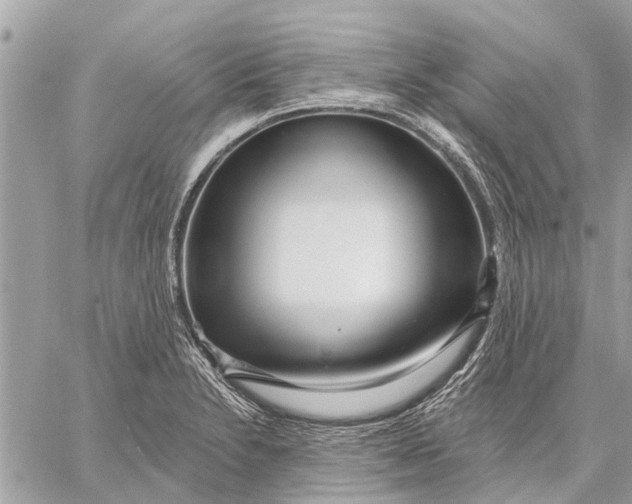 X0000059061230200510281624