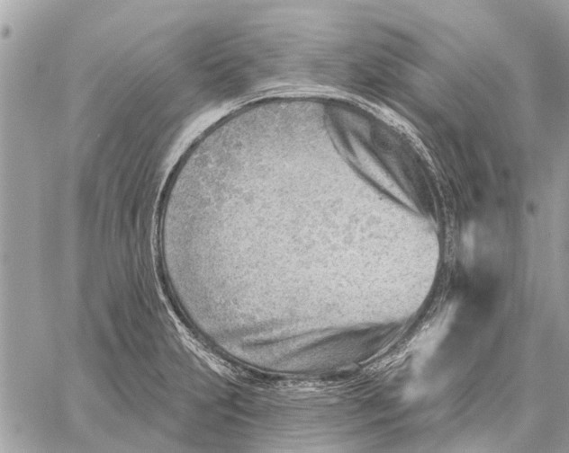 X0000059061231200510281624