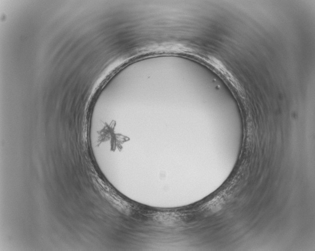 X0000059061232200510281624