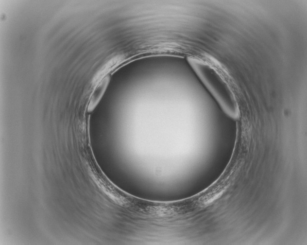 X0000059061234200510281624