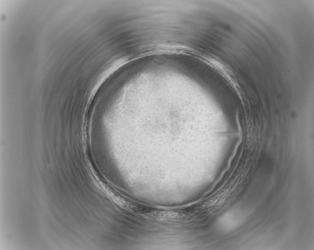 X0000059061235200510281624