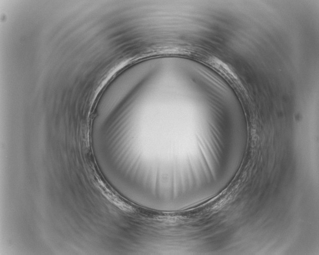 X0000059061236200510281624