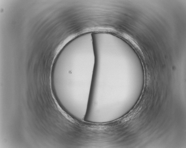 X0000059061237200510281624