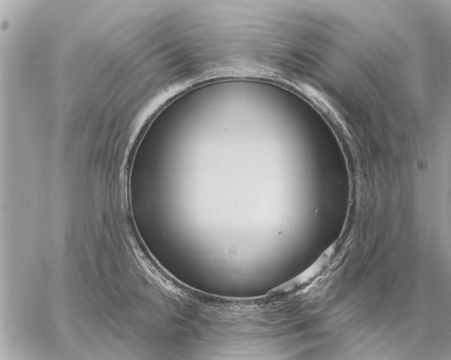 X0000059061238200510281624