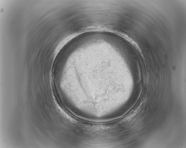 X0000059061239200510281624