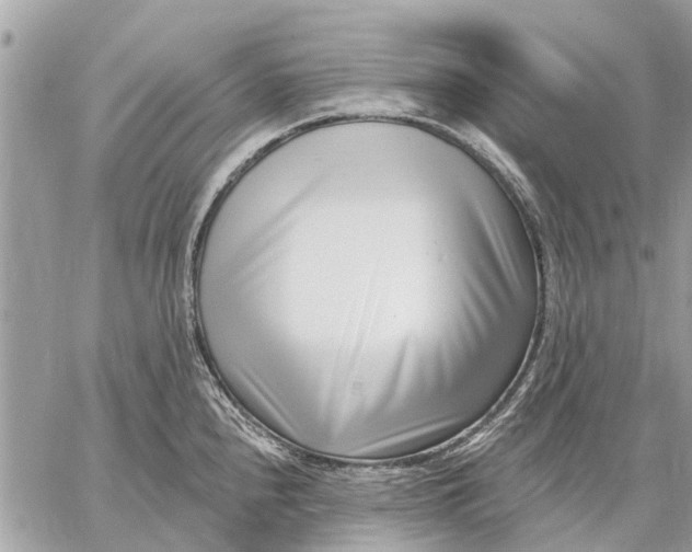 X0000059061240200510281624