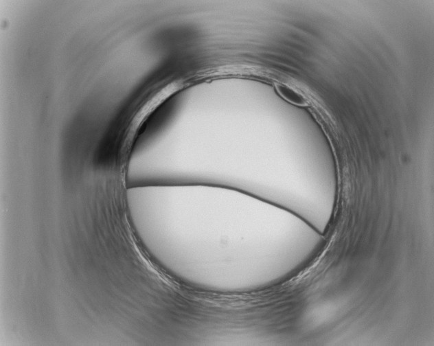 X0000059061241200510281624