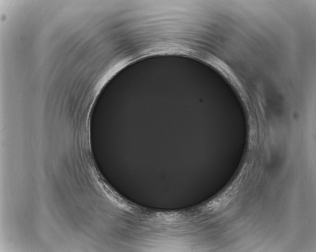 X0000059061242200510281624