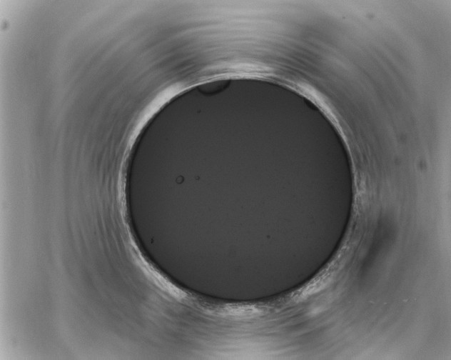 X0000059061243200510281624