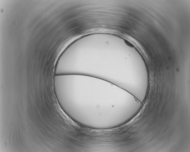 X0000059061244200510281624