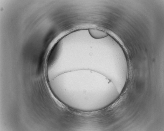 X0000059061245200510281624