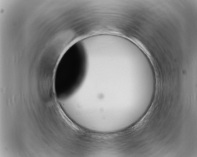 X0000059061246200510281624