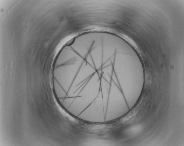 X0000059061247200510281624