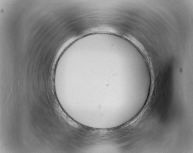 X0000059061248200510281624