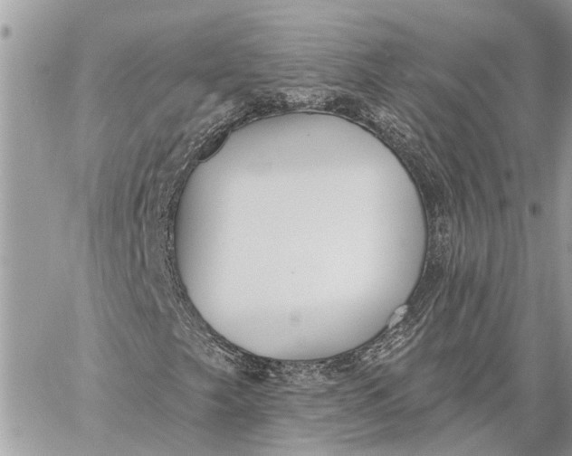 X0000059061249200510281624