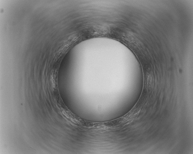 X0000059061250200510281624