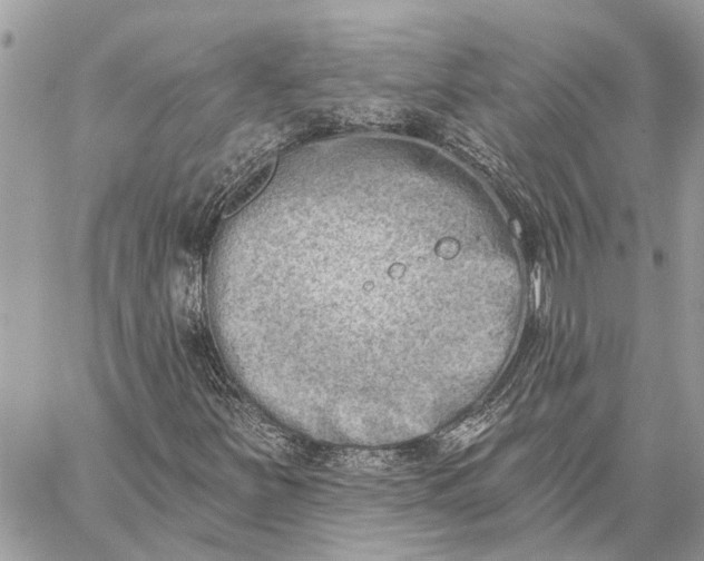 X0000059061251200510281624