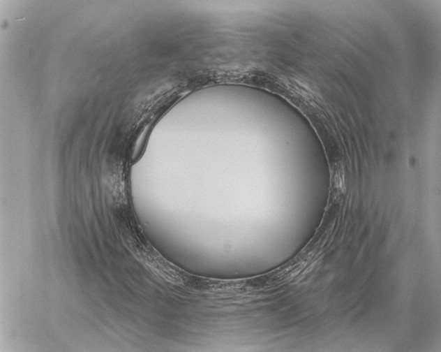 X0000059061252200510281624