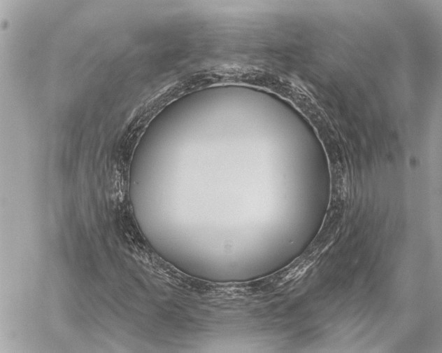 X0000059061253200510281624