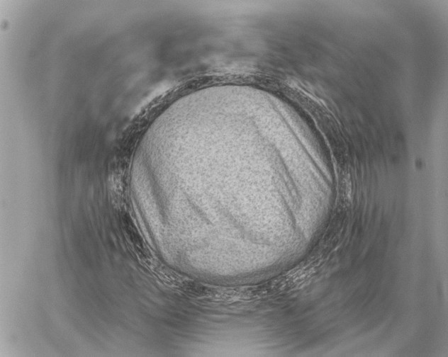 X0000059061254200510281624