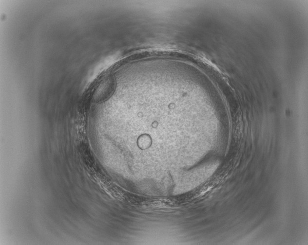 X0000059061255200510281624