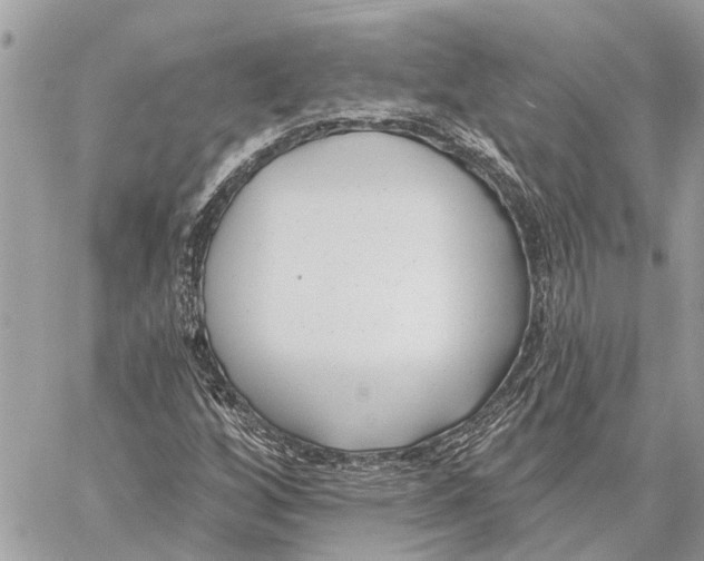 X0000059061256200510281624