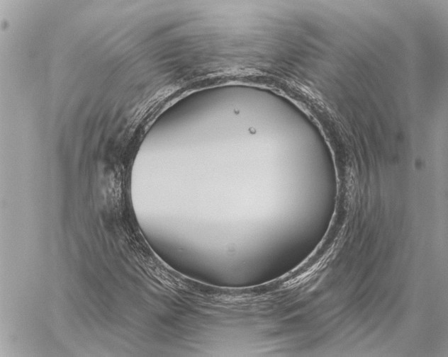 X0000059061257200510281624