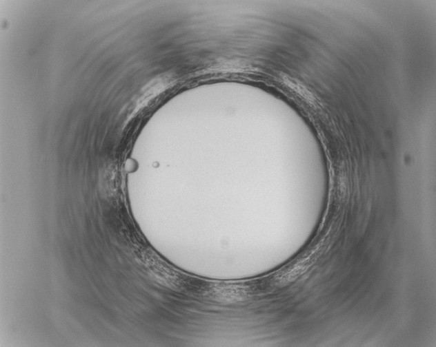 X0000059061258200510281624