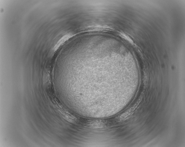 X0000059061259200510281623