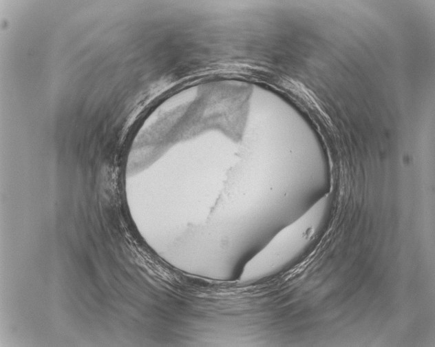 X0000059061260200510281623