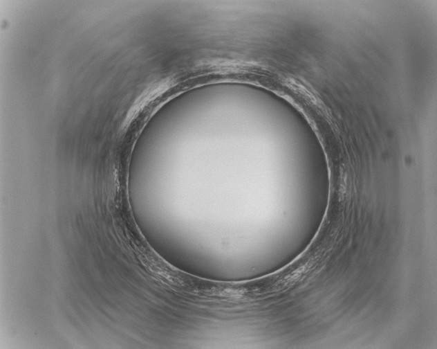 X0000059061261200510281623