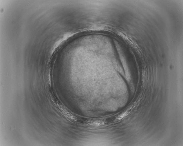 X0000059061262200510281623