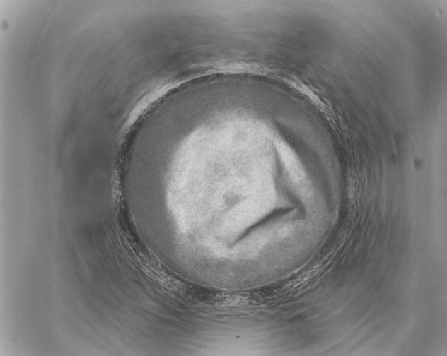 X0000059061263200510281623