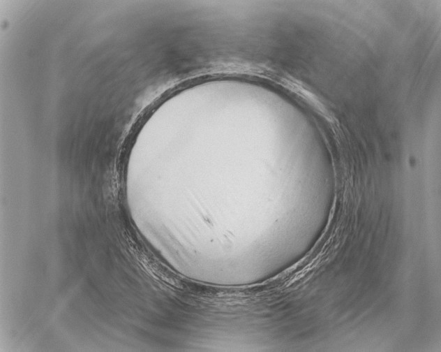 X0000059061264200510281623