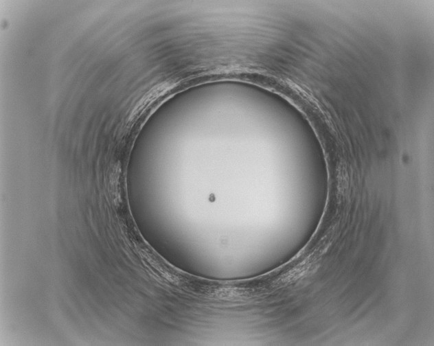 X0000059061265200510281623