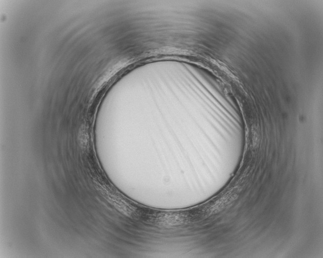 X0000059061266200510281623