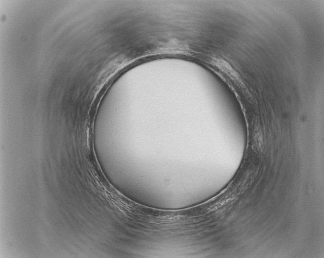 X0000059061268200510281623