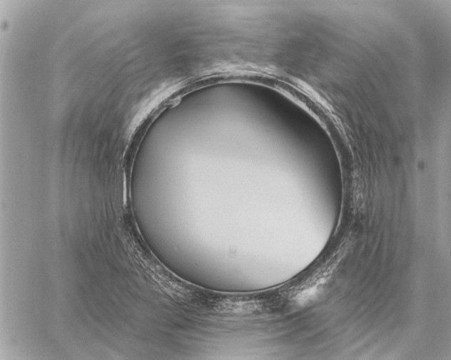 X0000059061269200510281623