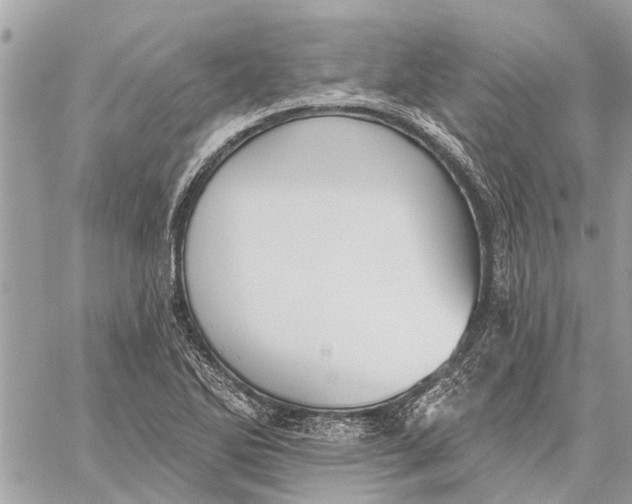 X0000059061270200510281623