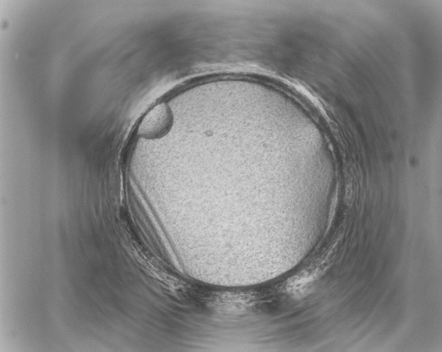 X0000059061271200510281623