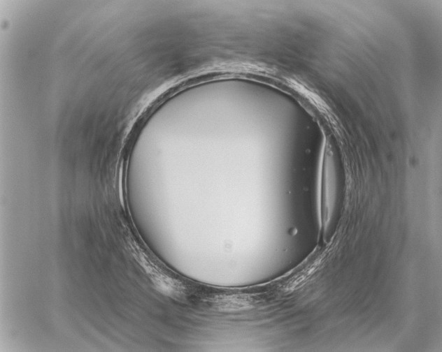 X0000059061272200510281623